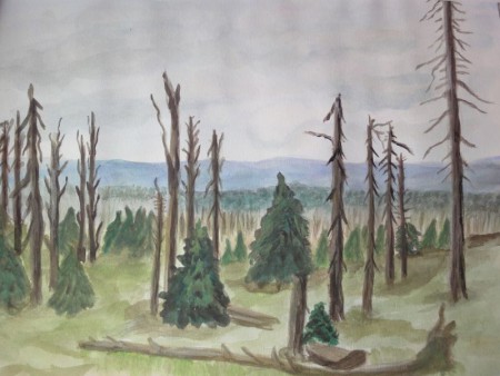 Auf dem Brocken 27cm x 35cm Aquarell auf Papier